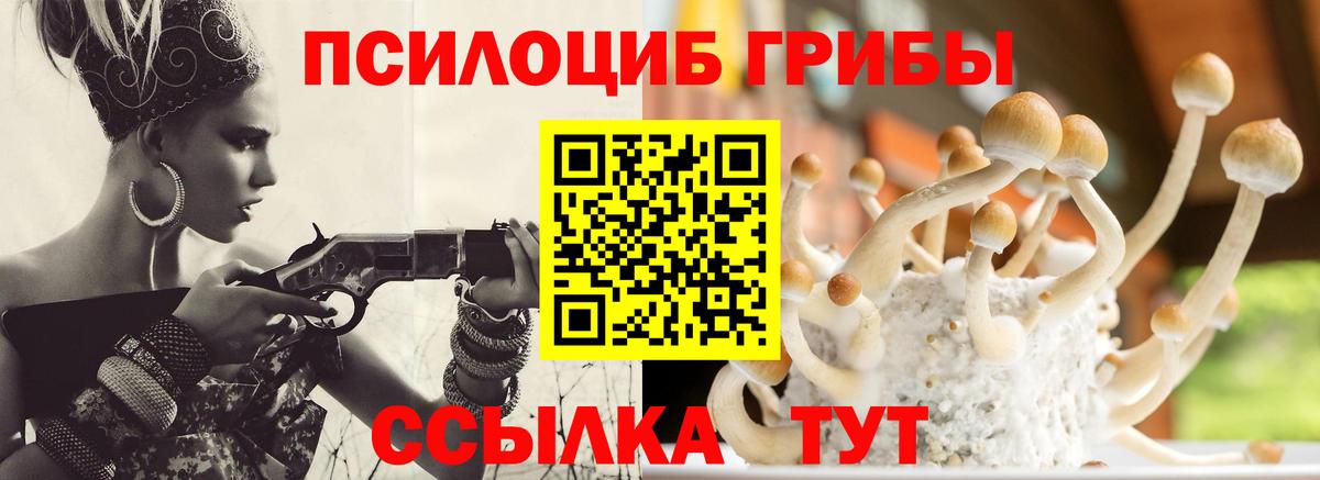 Саранск  Галлюциногенные грибы ЛСД  Вход с VPN  Галлюциногенные грибы Psilocybine cubensis 