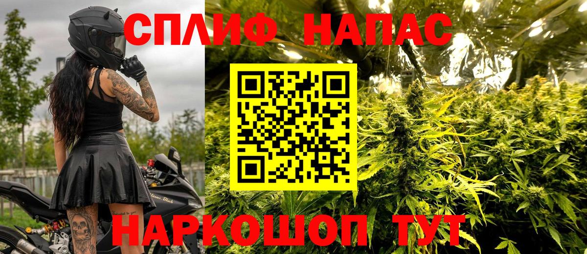 Саранск  Каннабис конопля  Каннабис OG Kush  Канабис семена  Вход с VPN 