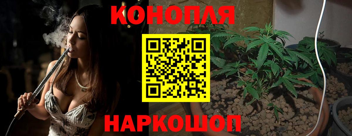 Бошки Шишки OG Kush Саранск